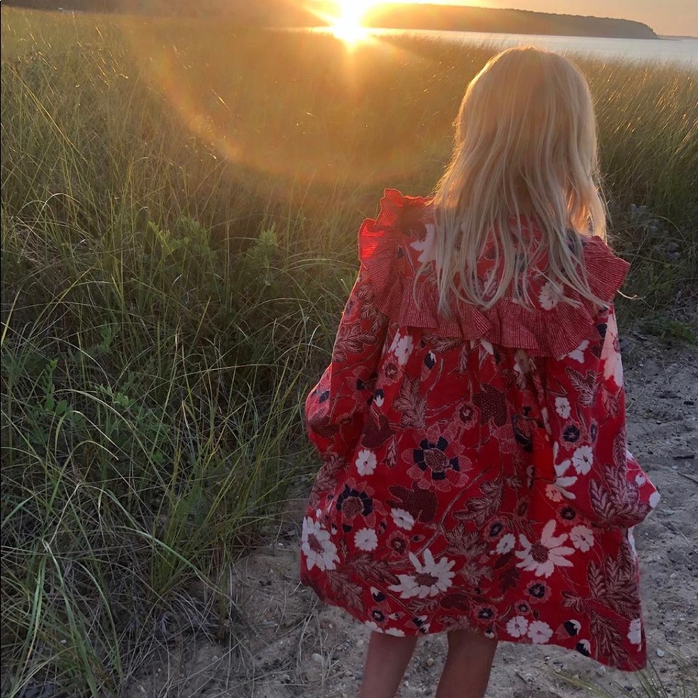LAST ONE 💛💛Ulla Johnson RARE KIMAYA RED Dress Floral Print